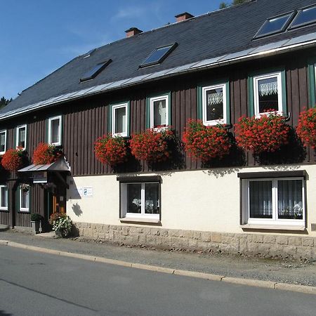 Ferienwohnung Wild Klingenthal Extérieur photo