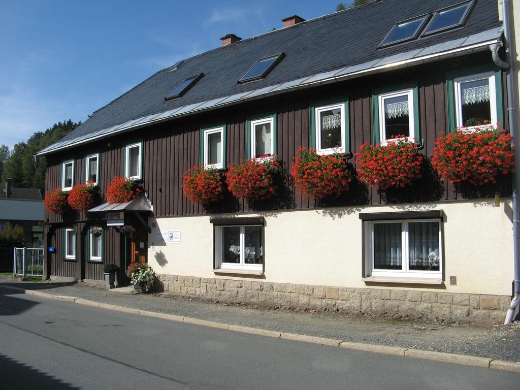Ferienwohnung Wild Klingenthal Extérieur photo