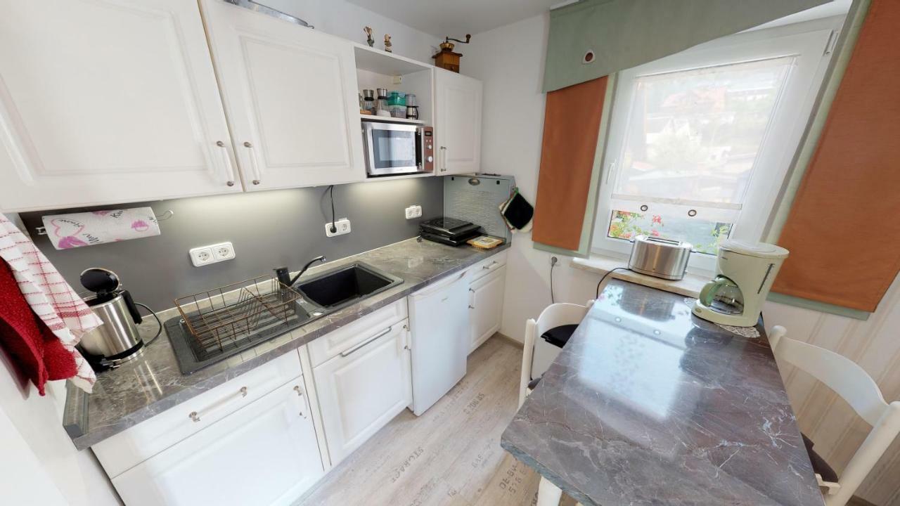 Ferienwohnung Wild Klingenthal Extérieur photo